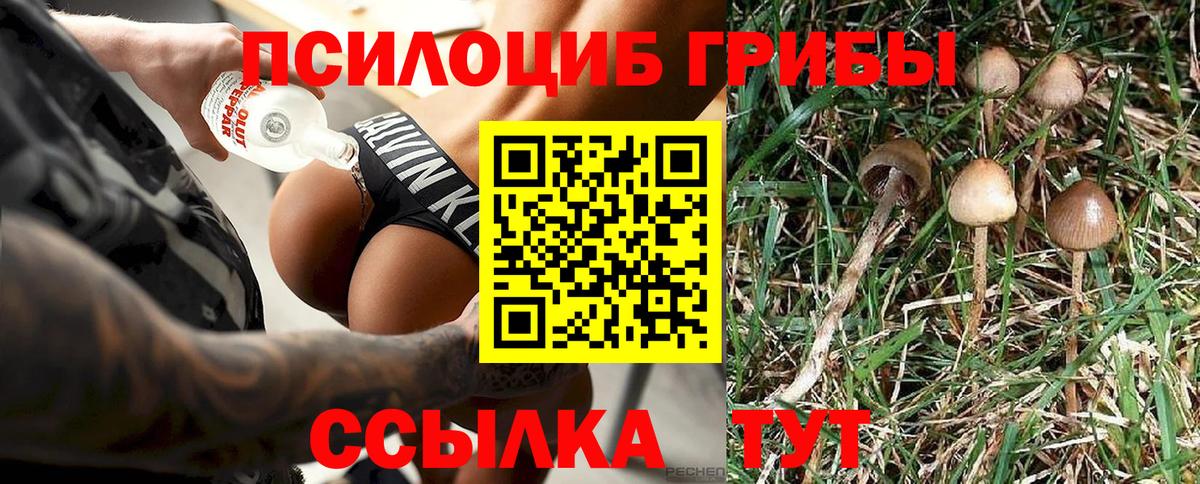 Волжск  Галлюциногенные грибы ЛСД  Вход с VPN 